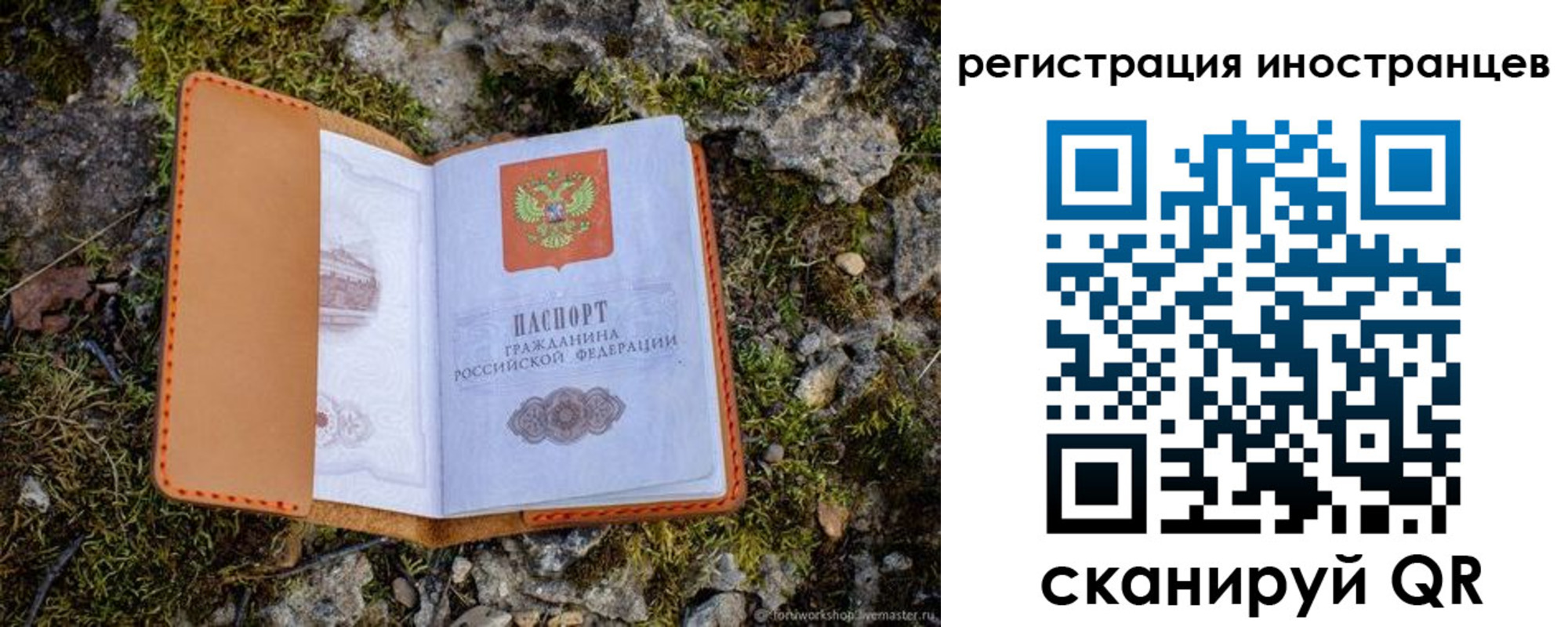 прописка паспорт в Глазове